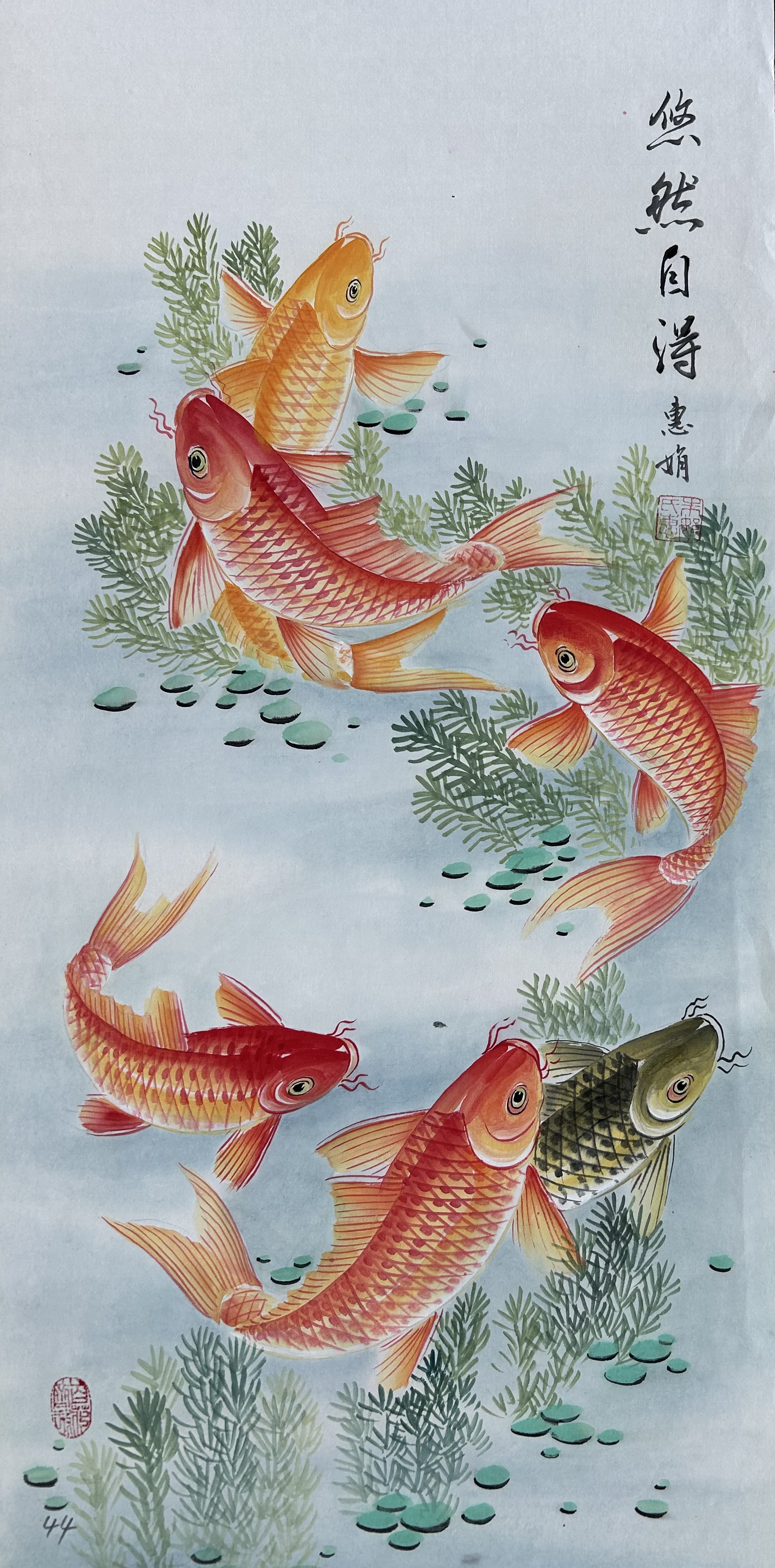 （朱老师专属）惠雅斋 锦鲤合集 画册集＋视频