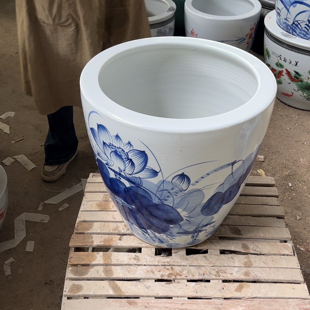 瓷片兰荷花43高度43788888