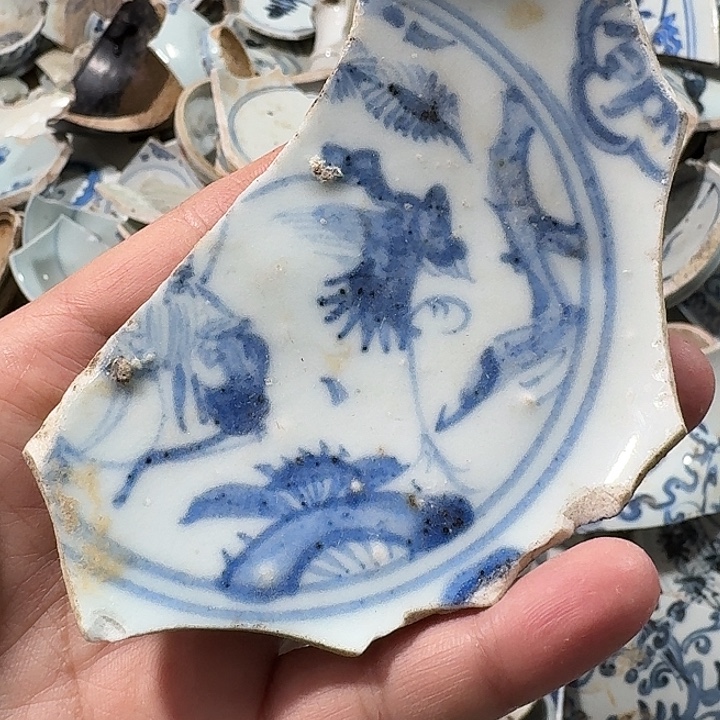 瓷片瓷片标本,顺丰包邮