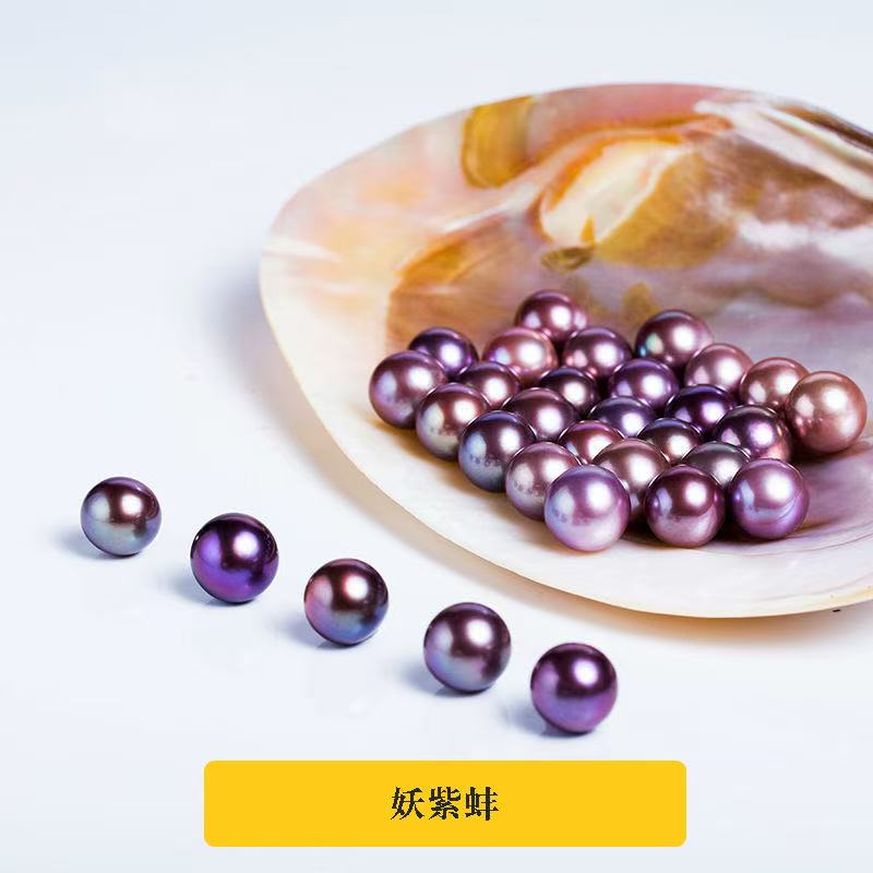 爱迪生单珠蚌（活体开蚌不退不换）可diy定制成品