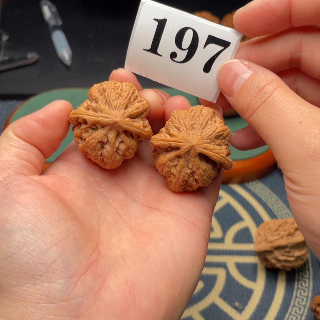 文玩核桃把件35粗筋197号
