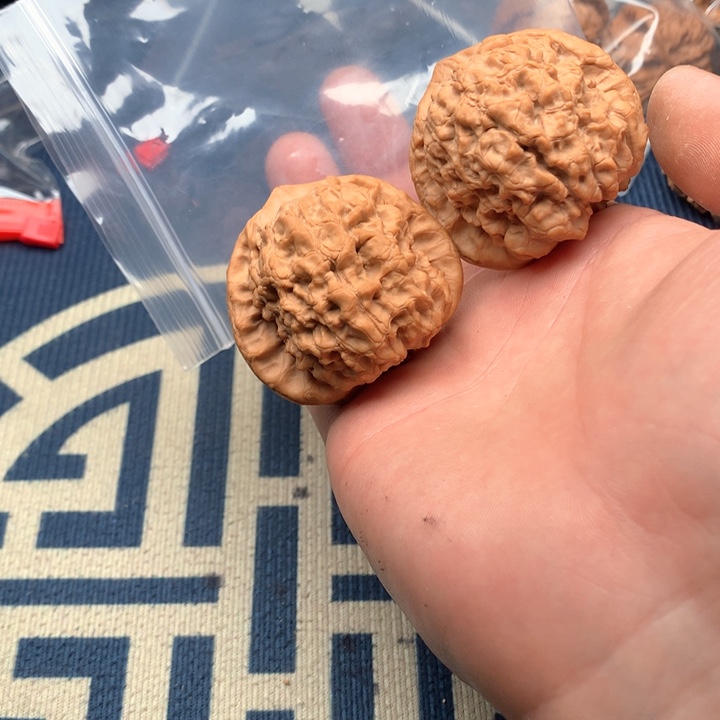 文玩核桃吊坠50龙鼎289