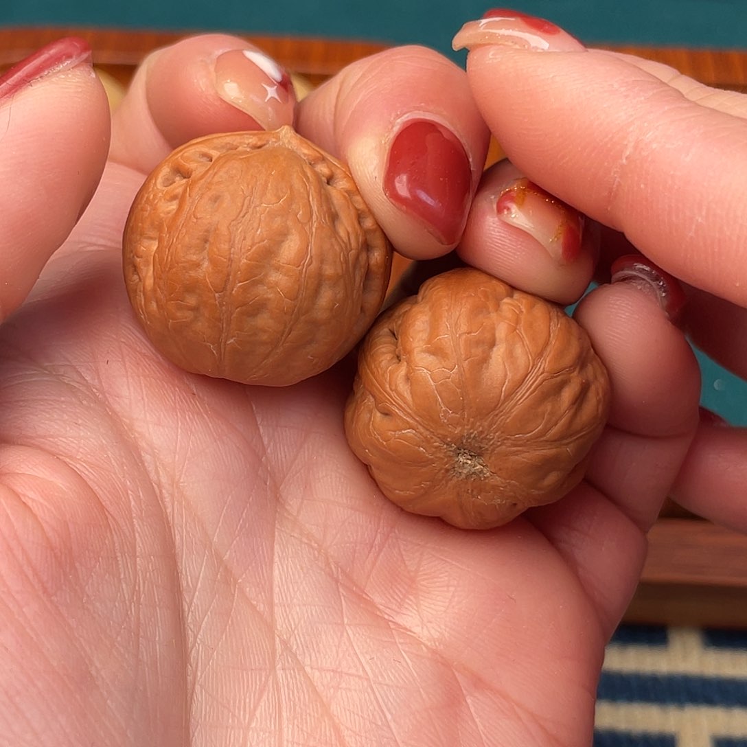 文玩核桃把件鸿运珠