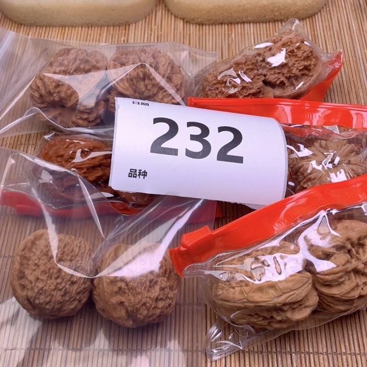 文玩核桃把件232号6对