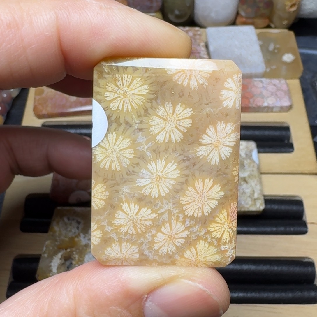 硅化玉纯天然色有机玉石未镶嵌
