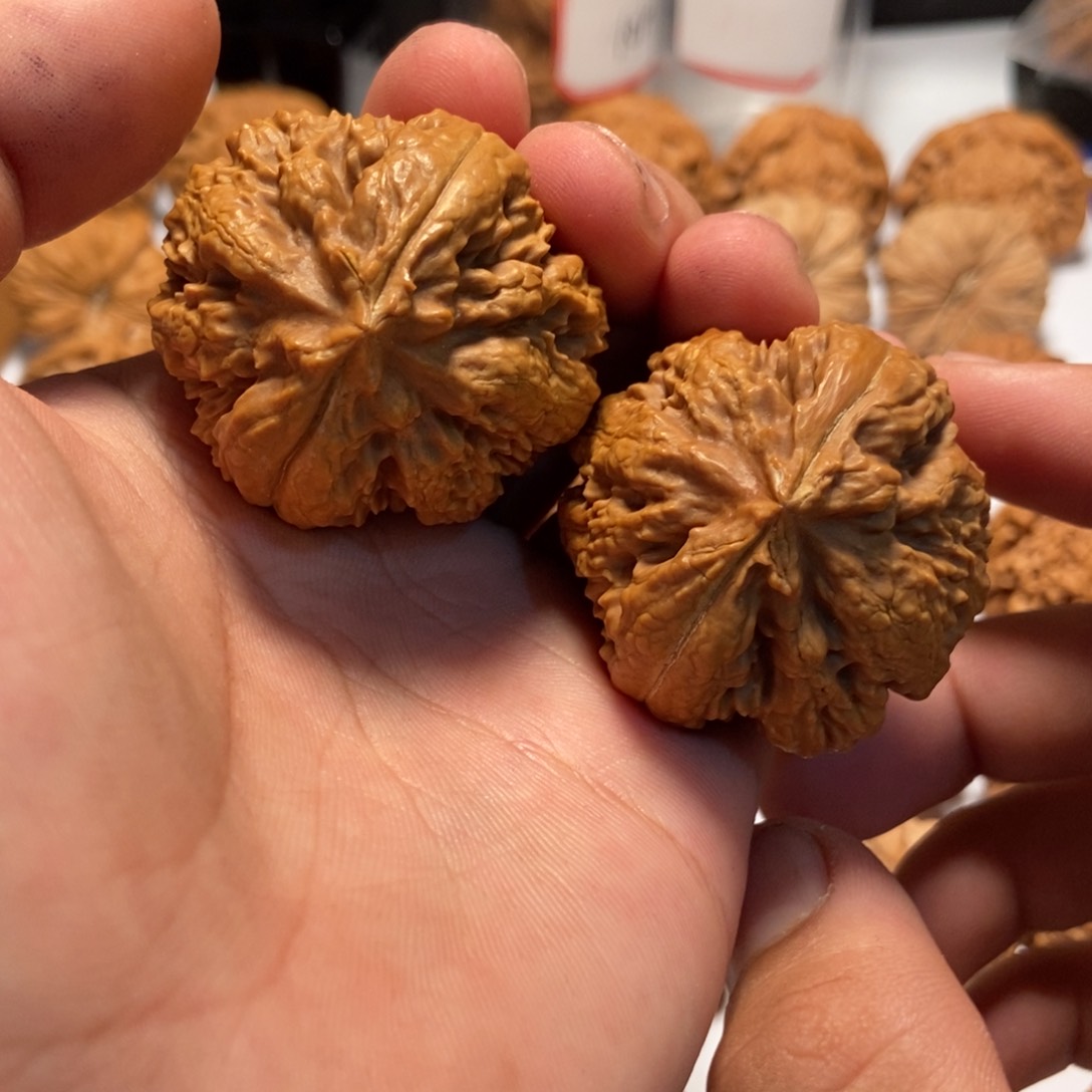 文玩核桃吊坠42全品霸王龙。7