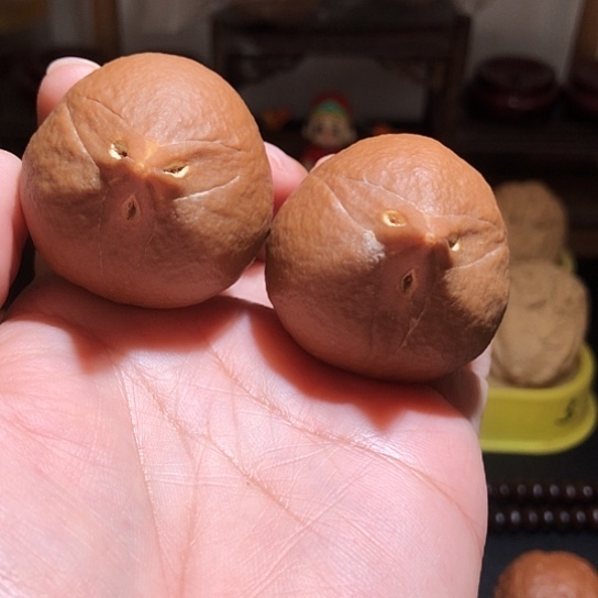 吊坠金刚菩提野生大肚子橄榄