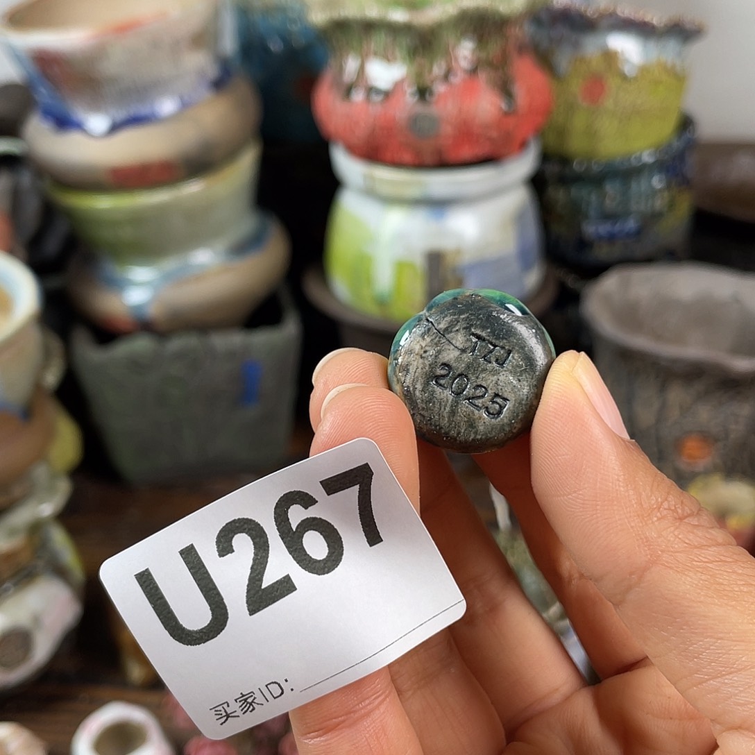 默认微次 跨年福利 坛子姐花盆