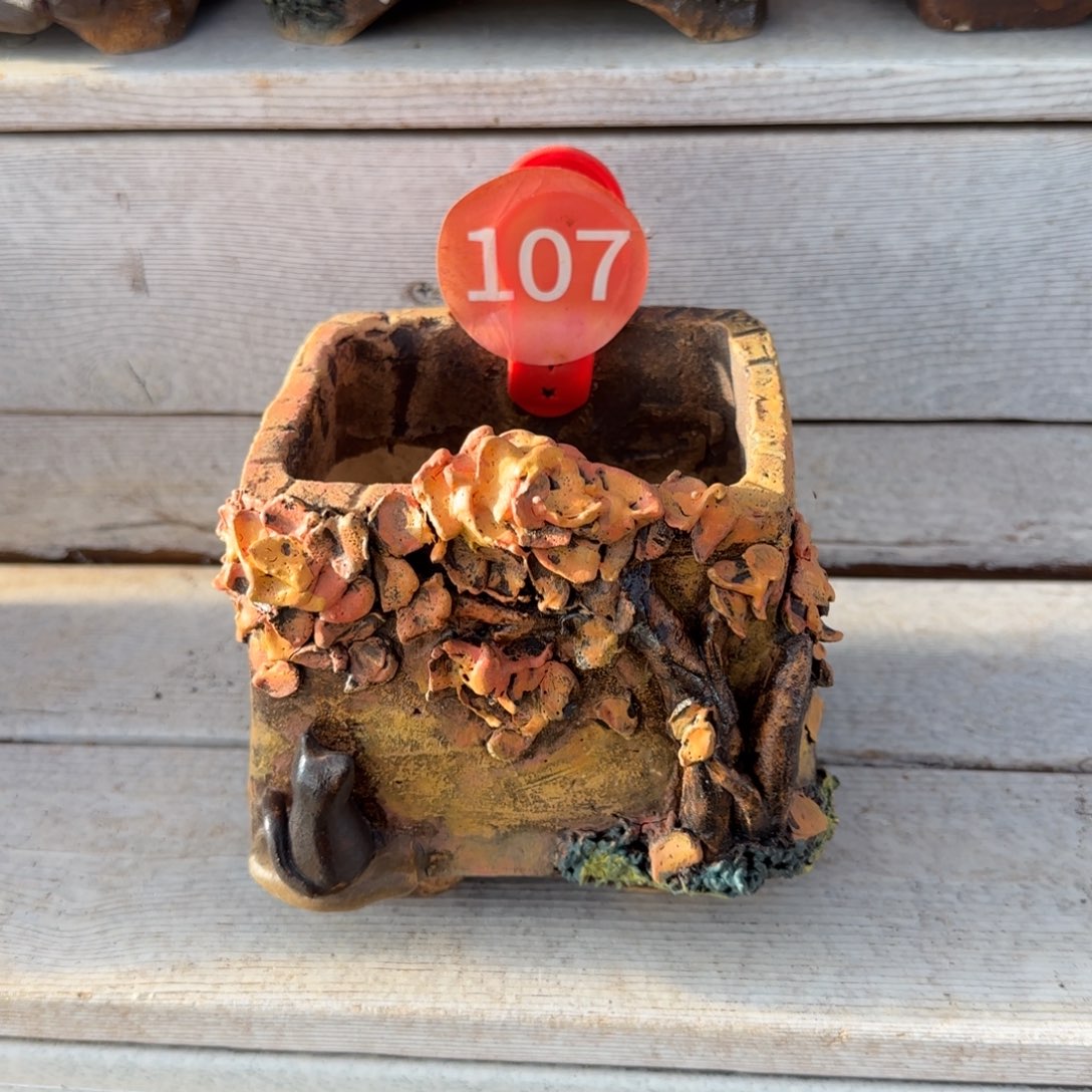 六***妮107。           花盆一个发货