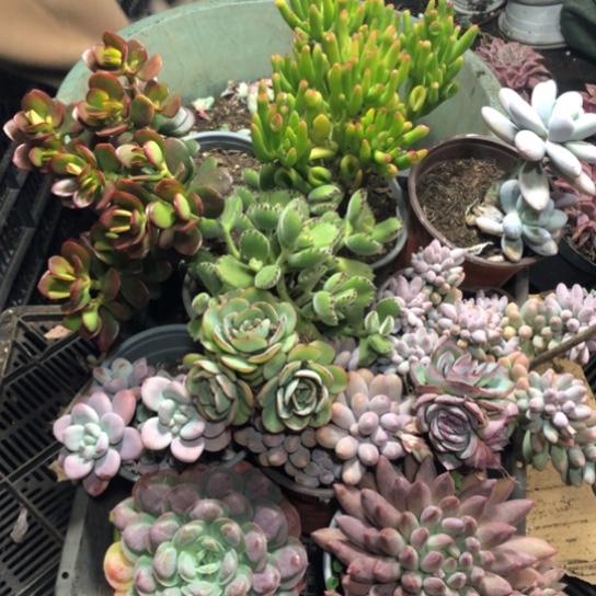 框拍，3375，一物一拍