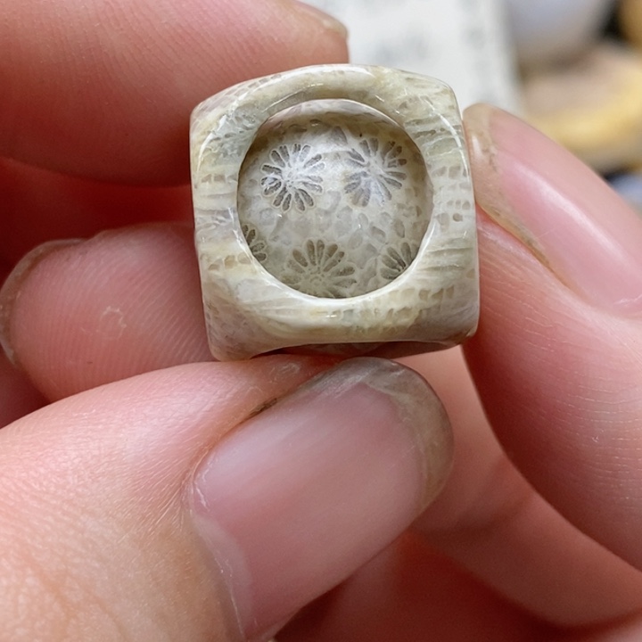 硅化珊瑚（珊瑚玉）未镶嵌颈饰小