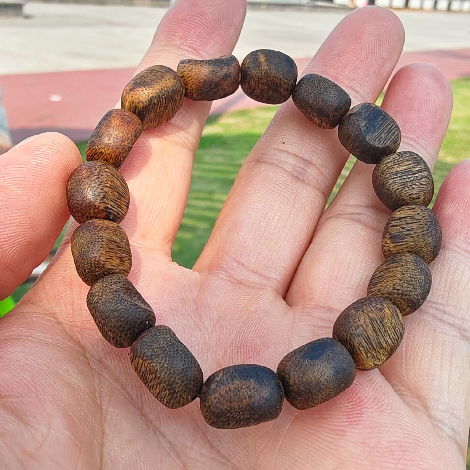 小也木作/卡1.0单圈瘤疤珠枣珠/乌身圆叶（多样性发其中一条）