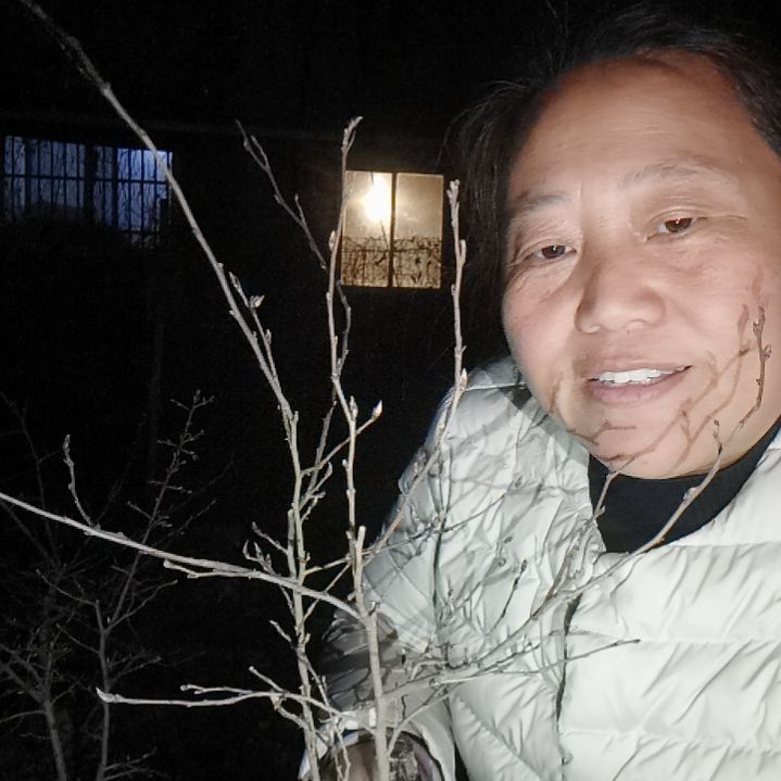 用***0无花朵1535633666