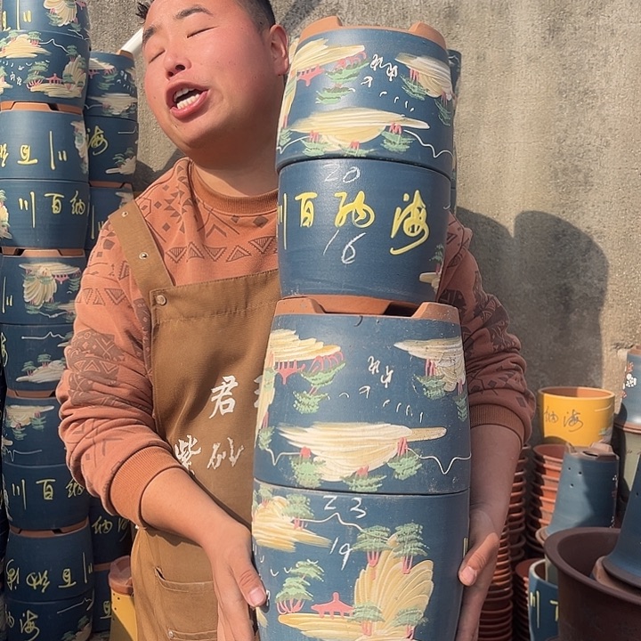 紫砂紫砂花盆盆栽