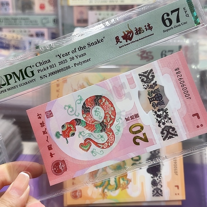 塑料000909288。。。。。。龙珠小司令尾88