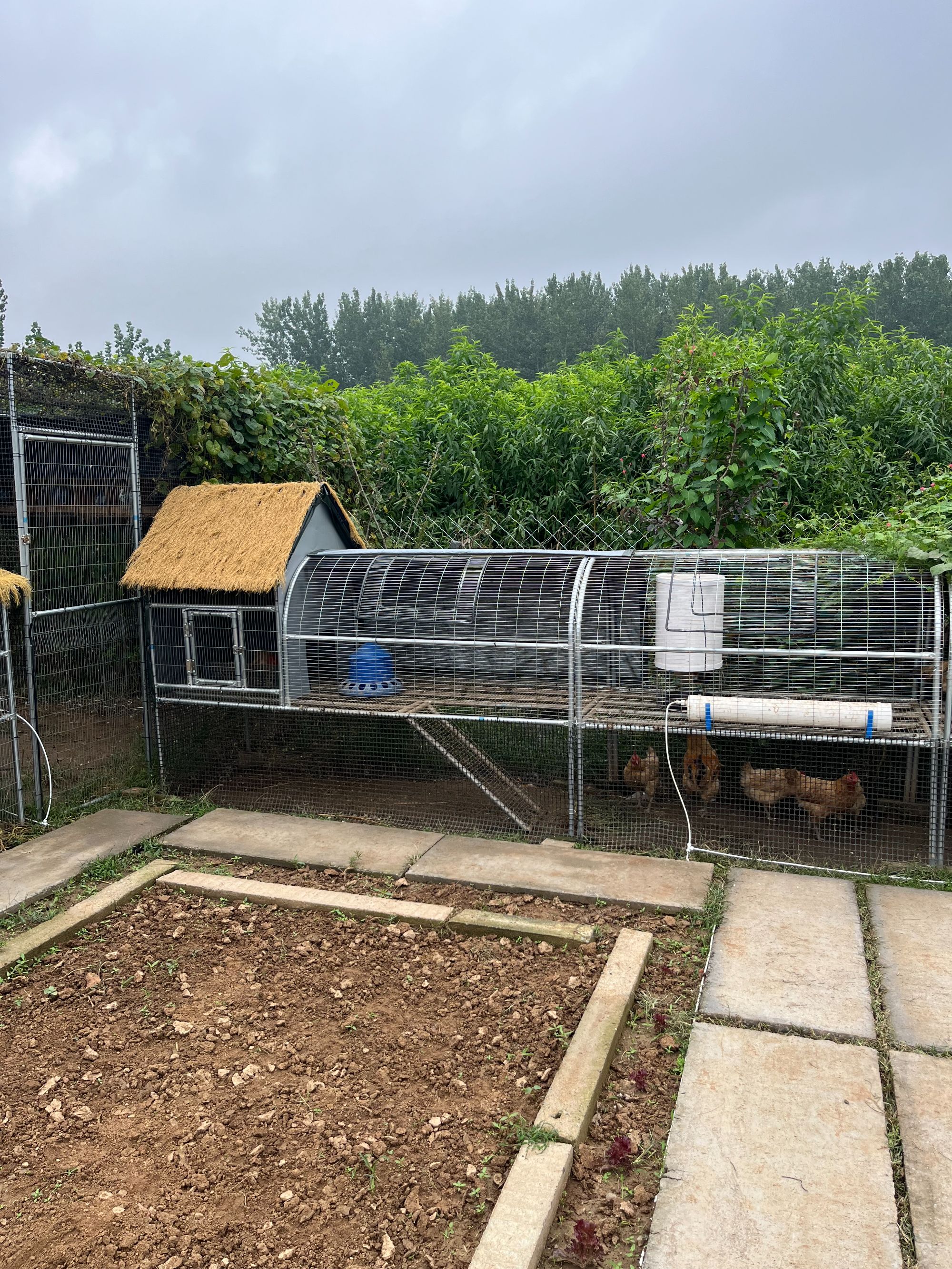 养殖鸡舍兔舍户外防雨棚鸡窝家禽鸡笼防晒鸭棚鸡舍搭建家用养殖