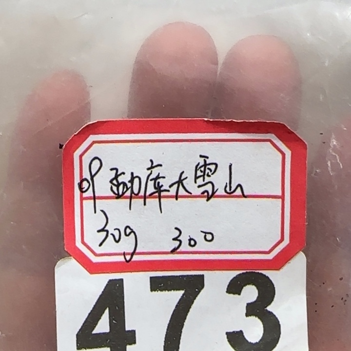 473 。。。。。。。。。。。。。。。。