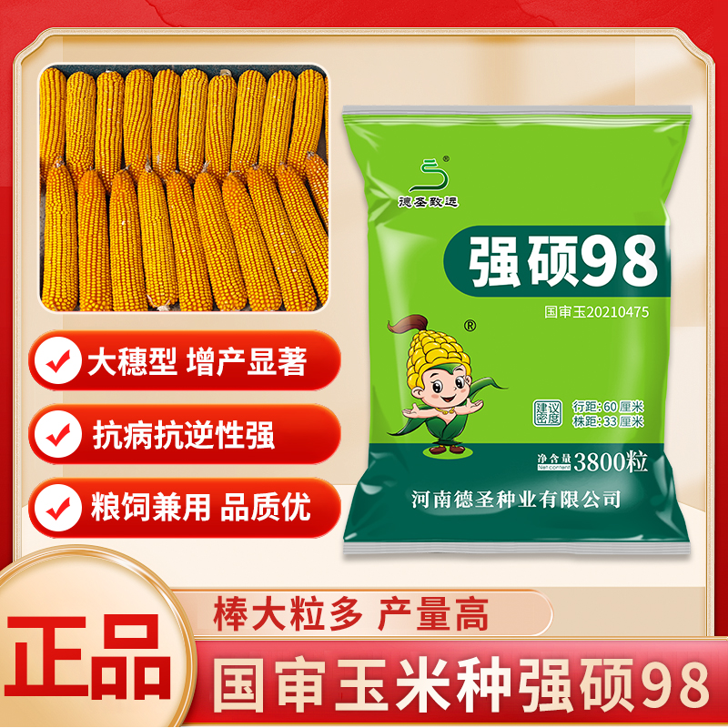 【10袋】国审强硕98高产玉米种子稀植大棒抗旱抗倒抗病正品保证