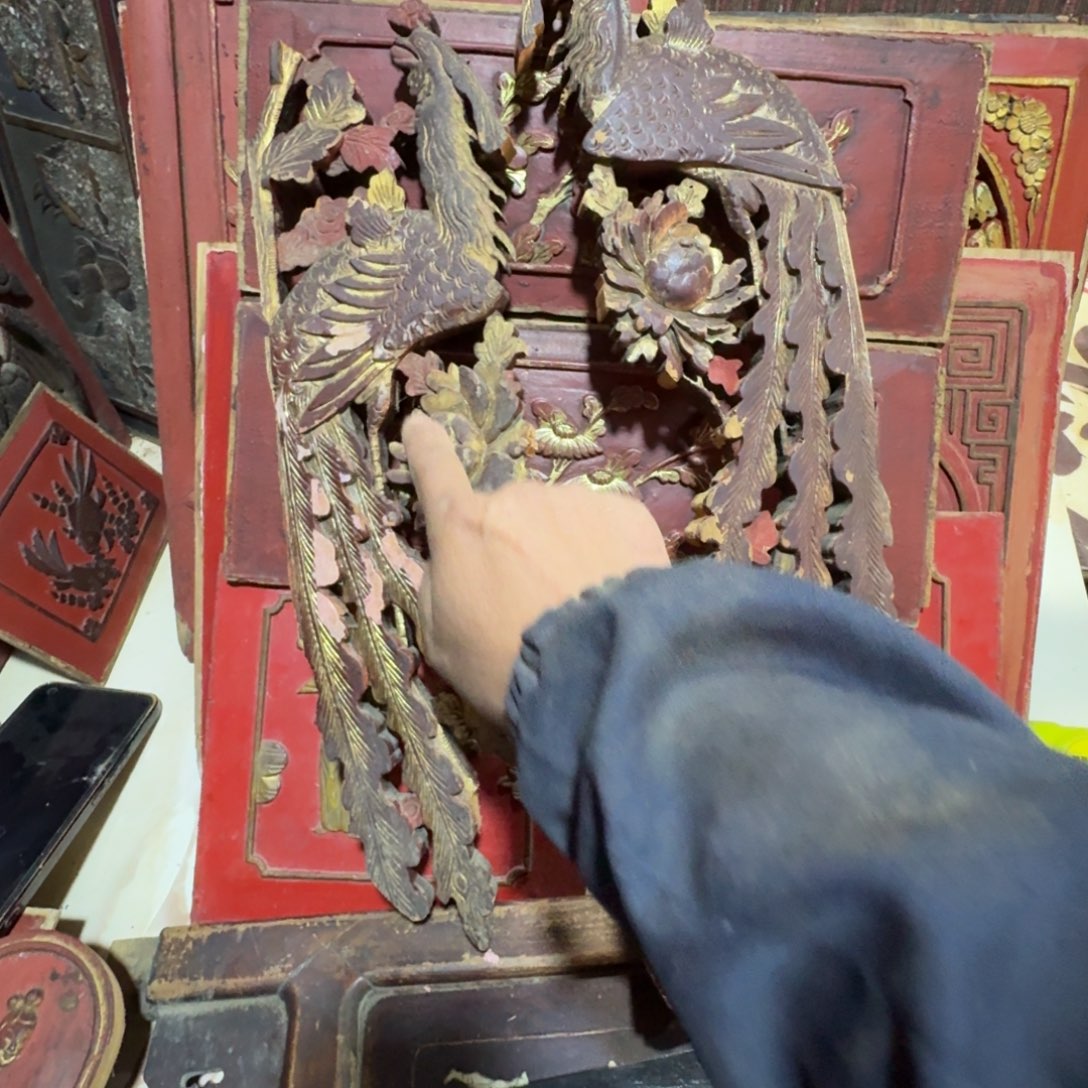 南***梦香榧木是一个好地方呢啊呀好