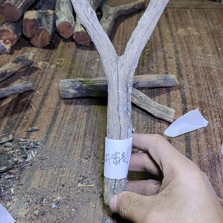 …***贵火琉璃原杈不保沉水慎拍！