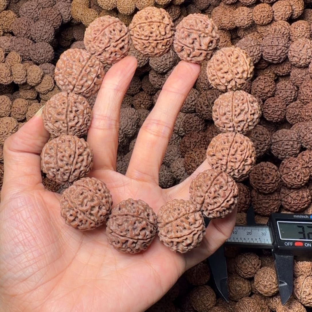 李***大手串金刚菩提8瓣卡25尺，76号