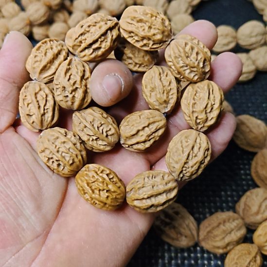 三***虎木质类纯野生山核桃