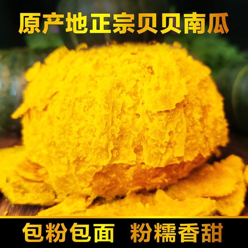 沙地贝贝小南瓜粉糯香甜宝宝辅食孕妇板栗味营养现摘现发