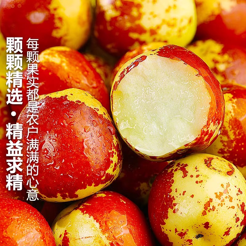 全爸农产品陕西大荔冬枣脆甜当季新鲜水果现摘现发【顺丰包邮】