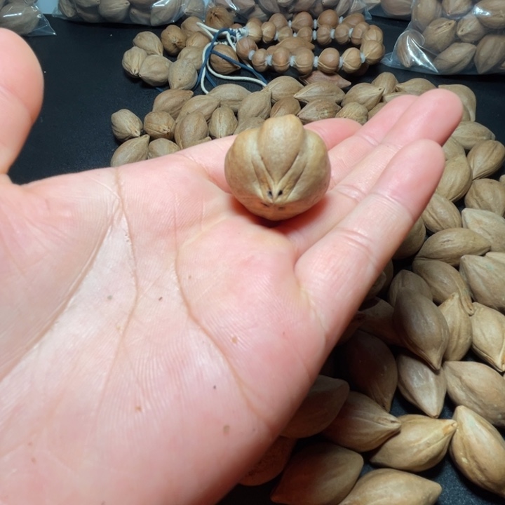 猪牙手串/手链我是