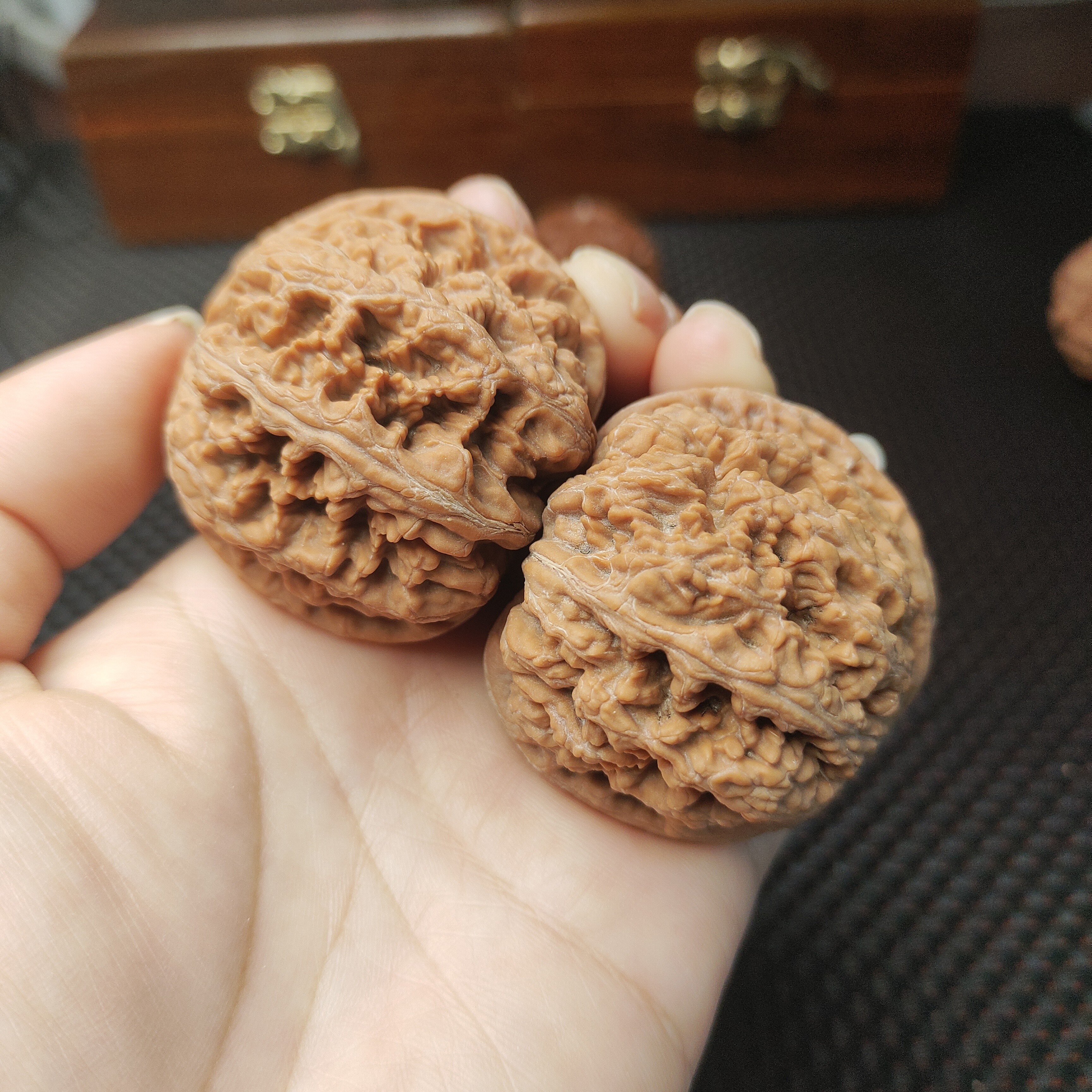 文玩核桃48尺寸全品球筋