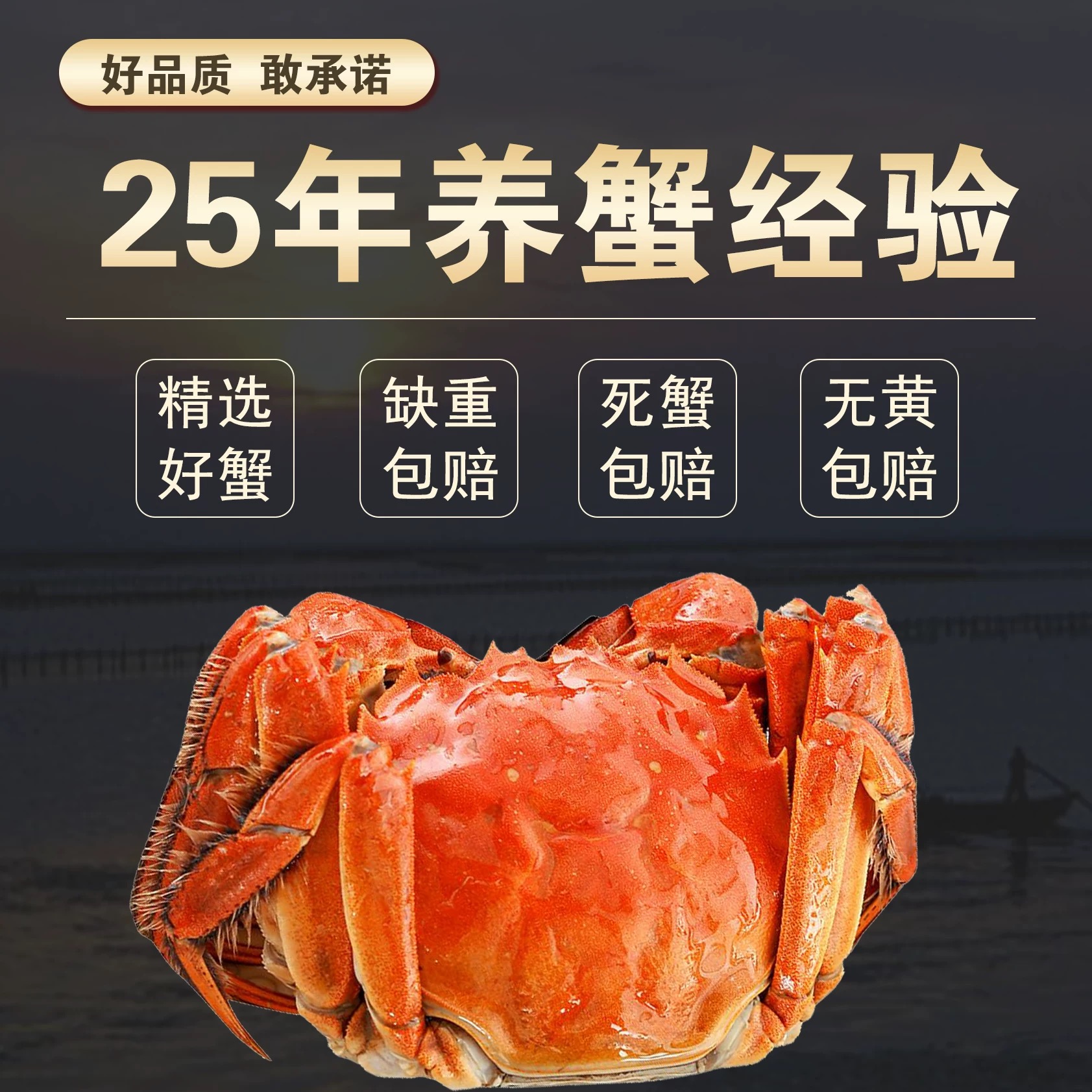 鲜活大闸蟹江苏产地直发大闸蟹3.1-2.8两母蟹10只礼盒装