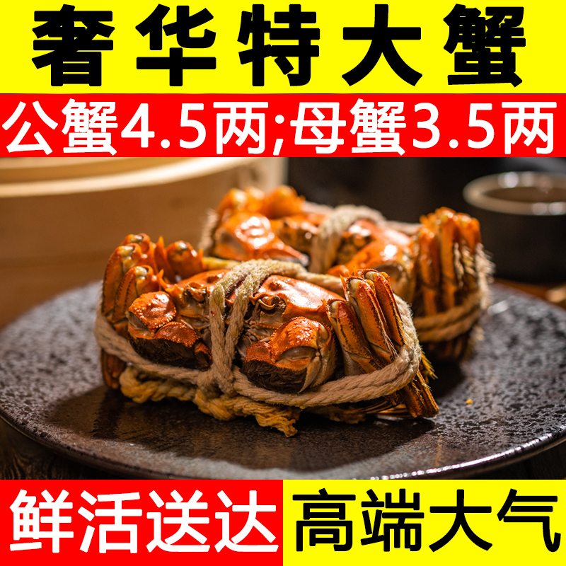 螃·蟹 公：4·5-4·3两/只 母蟹3·5-3·3两/只 精品蟹6/8/10只 京东冷链 赠吃蟹工具精美礼盒