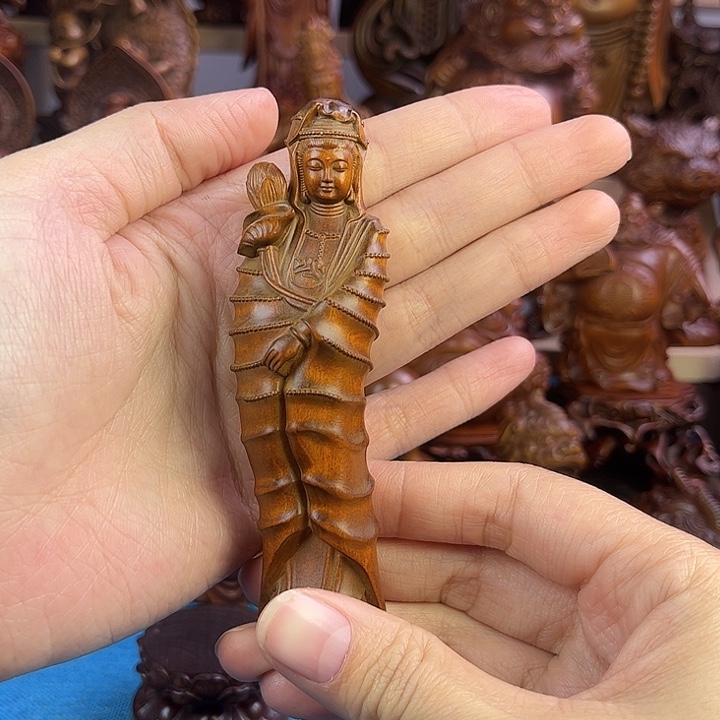 黄杨木小叶黄杨木