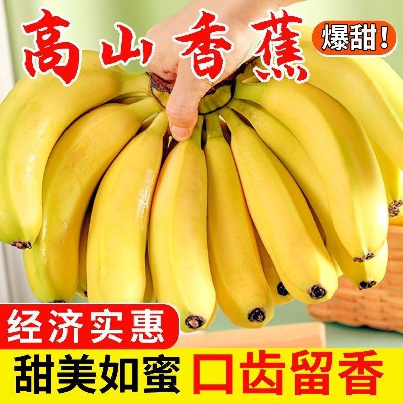 【爆品专属2】高山甜香蕉当季新鲜自然成熟软糯香甜水果