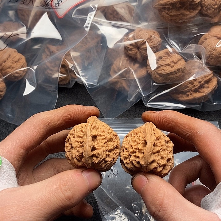 鲨***⁶55555555555555555555555