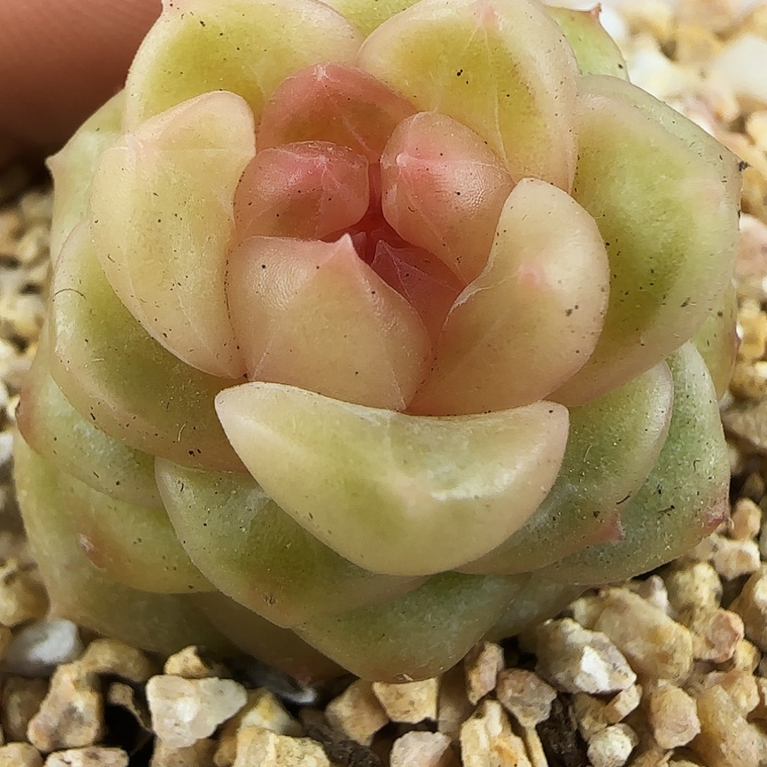 255号哈哈哈哈哈哈