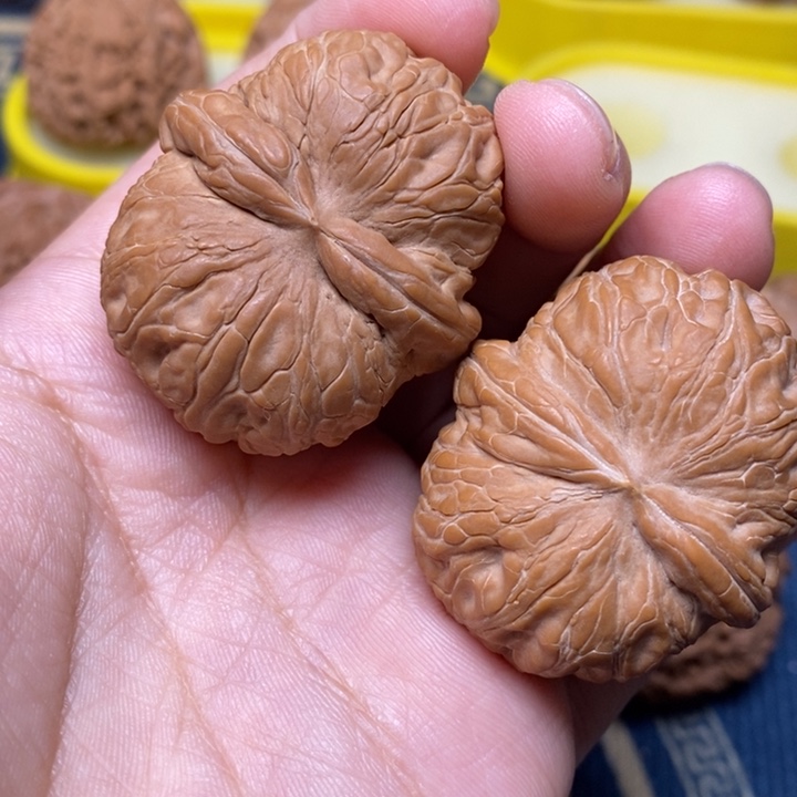 文玩核桃全品元宝42