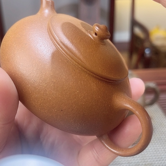 紫砂茶壶今天不知道