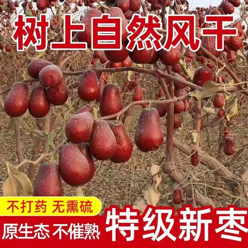 【新疆产地直发】和田大枣红枣肉厚核小饱满可煮粥煲汤A
