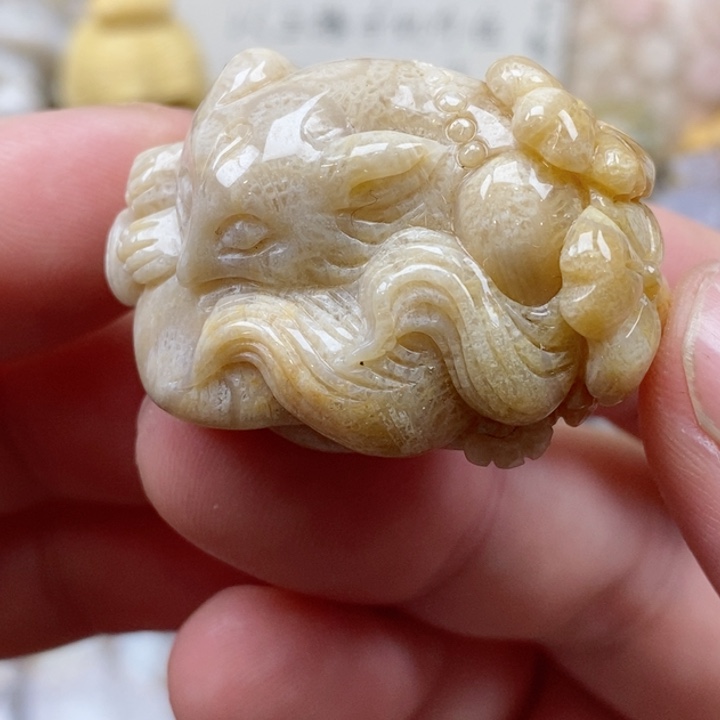 颈饰未镶嵌硅化珊瑚（珊瑚玉）