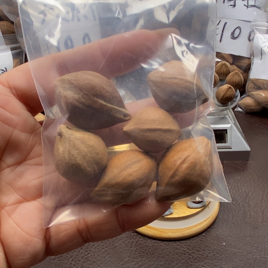 星***＂橄榄核原皮素核五颗