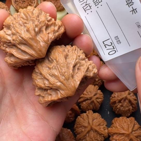 红***油桃核把件45 眼镜蛇