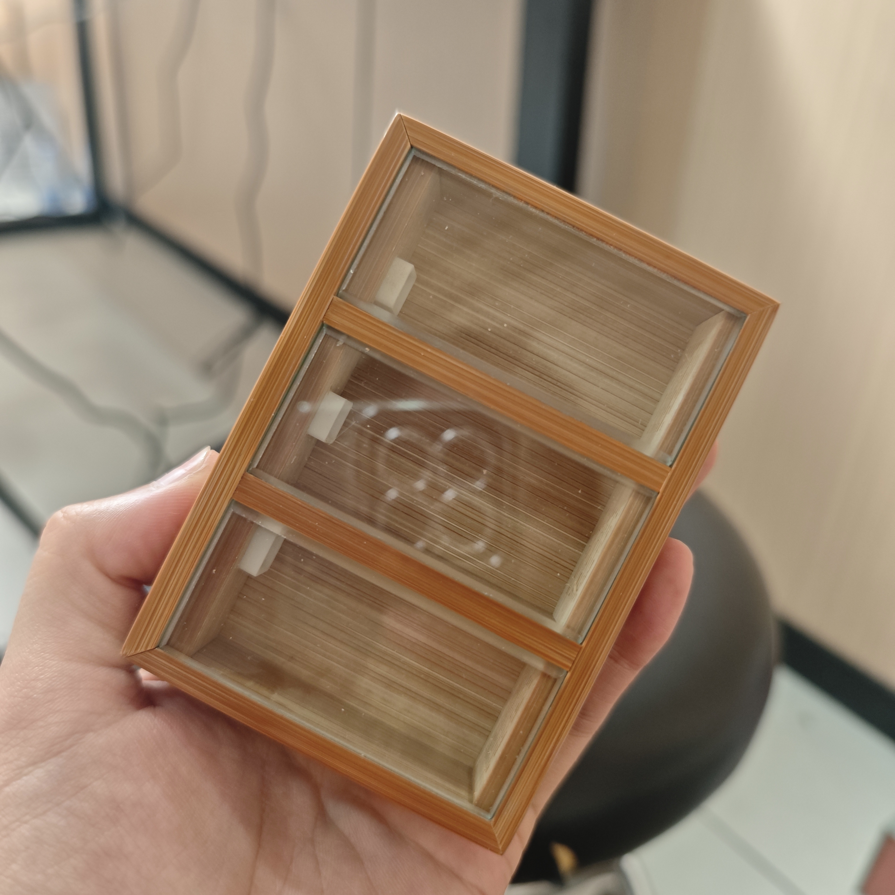 店庆上海之行竹子三连格竹蛉盒