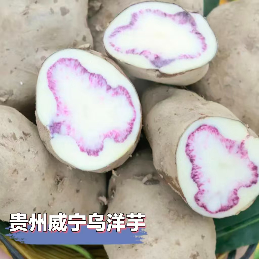 贵州农家洋芋威宁乌洋芋钻心乌土豆纯天然面糯土豆