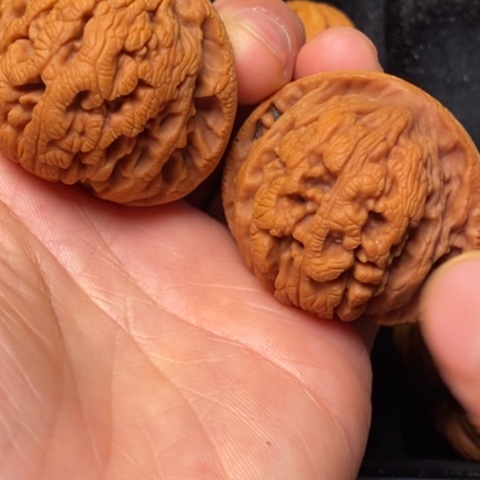 文玩核桃把件秦岭山脉北缘