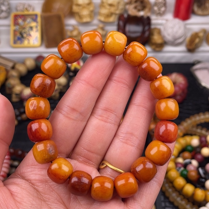 其他驼骨骆驼骨老邢12