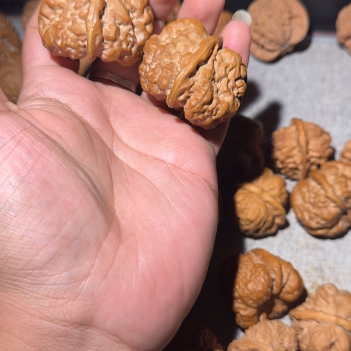 吳***王蛤蟆头肌肉蛙蛤蟆头