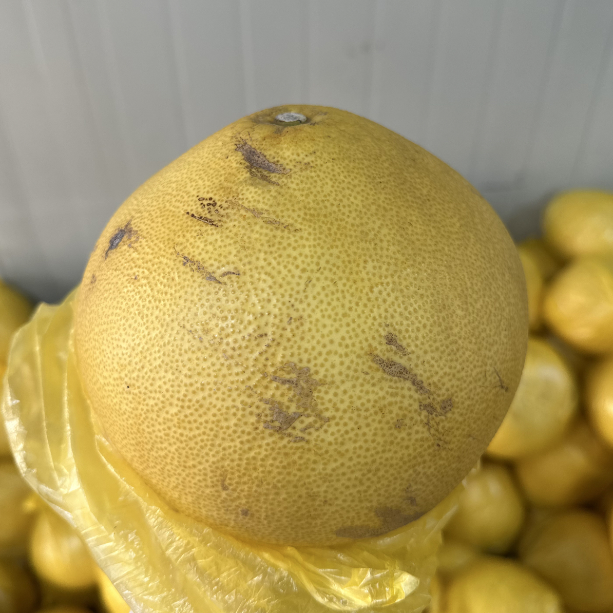 果农直销玉环文旦大柚子【花皮瑕疵小丑果】1个也是批发价！