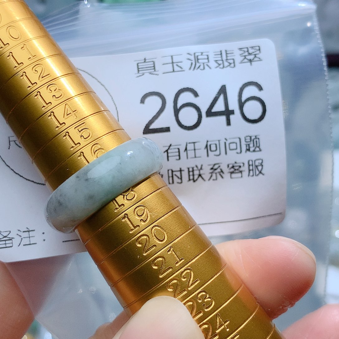 翡翠颈饰未镶嵌2646。