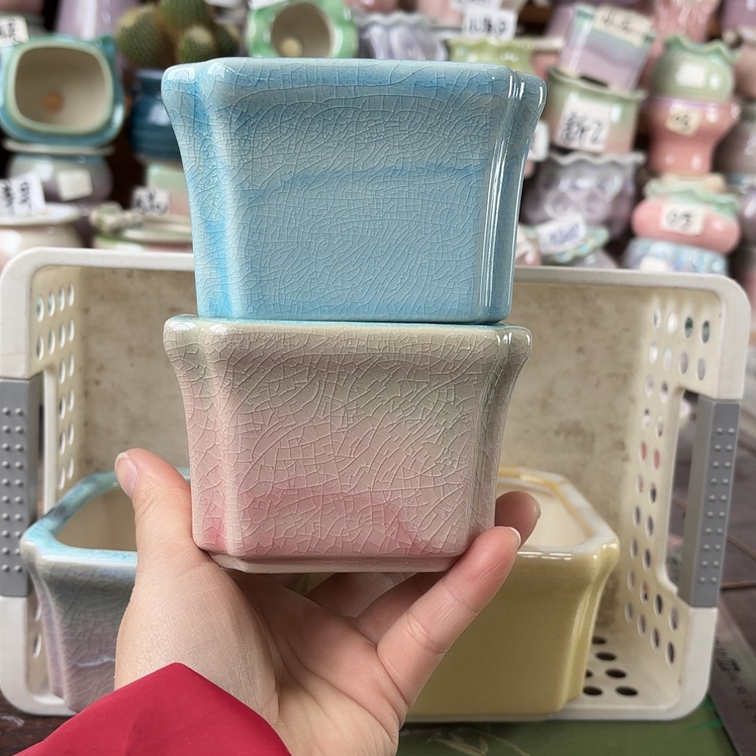 春***漫量货/口高深浅搭配发2